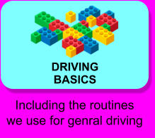 DRIVING BASICS Including the routines we use for genral driving